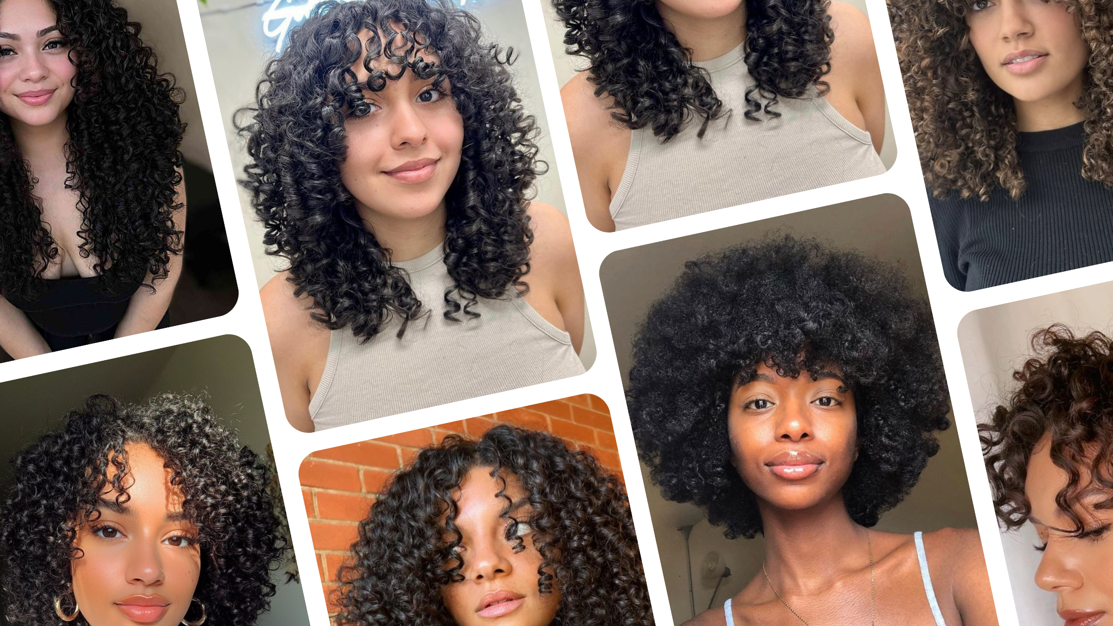 Un collage con distintos cortes de cabello para cabellos rizados